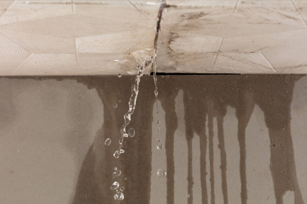 Professional Sewage Cleanup technician working in Elbe, WA
